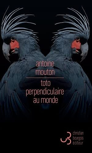 Toto perpendiculaire au monde - Antoine Mouton (2022)