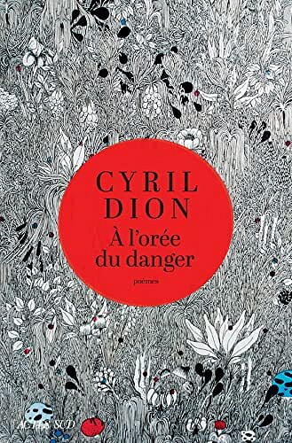 À l'orée du danger - Cyril Dion (2022)