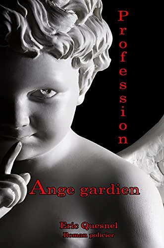 Profession : ange gardien - Éric Quesnel (2022)