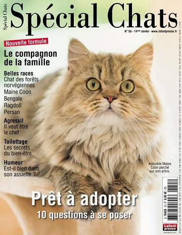 Spécial Chats - Avril-Juin 2022