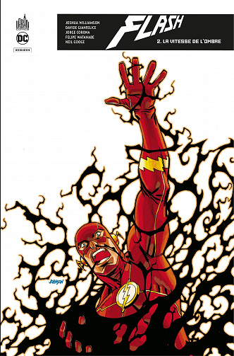 Flash Rebirth - Tome 2