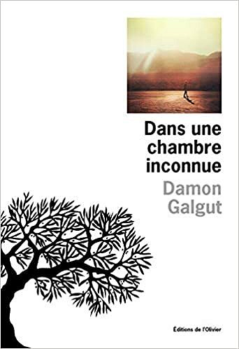 Damon Galgut - Dans une chambre inconnue