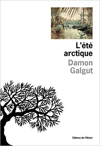 Damon Galgut - L'Eté arctique
