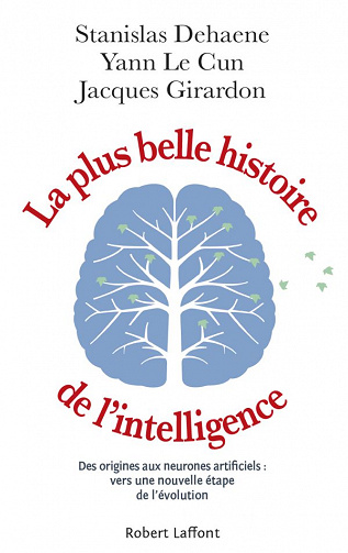 La Plus Belle Histoire de l'intelligence - Stanislas Dehaene, Yann Le Cun, Jacques Girardon