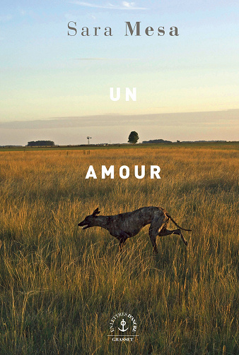 Un amour - Sara Mesa (2022)