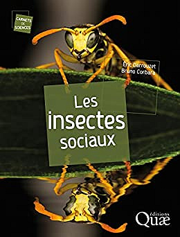 Les Insectes Sociaux - Eric Darrouzet et Bruno Corbara