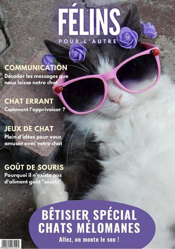 Félins Pour L’autre - Juillet 2022