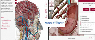[Windows] Visible Body: Human Anatomy Atlas Français v7.4.01