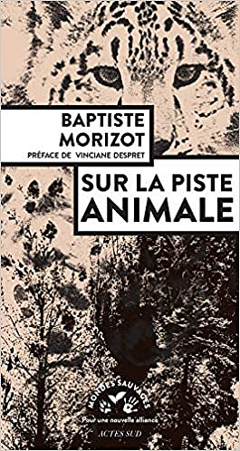 Baptiste Morizot, "Sur la piste animale"