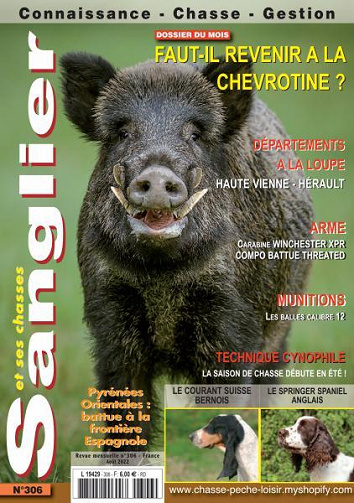 Sanglier et ses Chasses - Août 2022