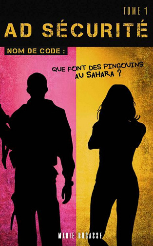 AD Sécurité, Tome 1 : Que font des pingouins au Sahara -  Marie Ducasse (2022)