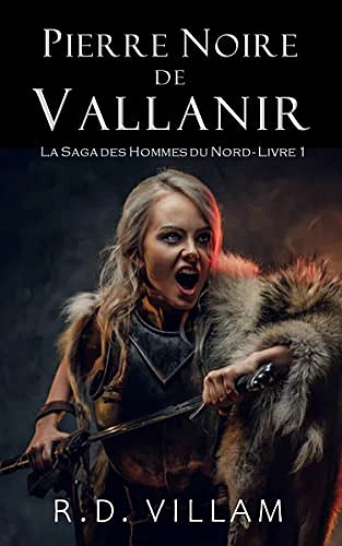 [Série] La Saga des Hommes du Nord - Livre 1 : Pierre Noire de Vallanir - R.D. Villam (2022)