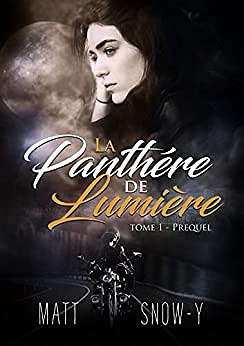 [Série] La Panthère de Lumière (3 tomes) - Matt Snow-Y