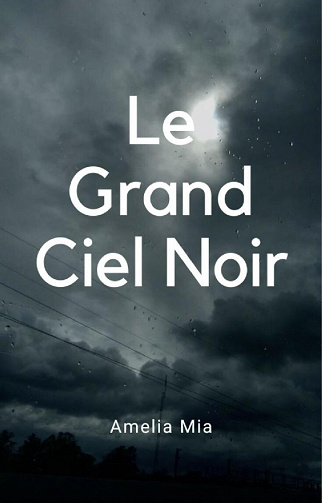 Le Grand Ciel Noir - Amelia Mia (2022)