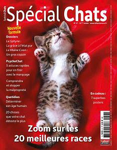 Spécial Chats - Octobre-Décembre 2022