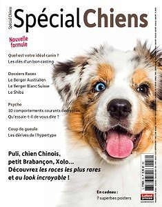 Spécial Chiens - Octobre-Décembre 2022