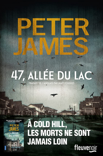 Peter James - 47, allée du lac (2022)