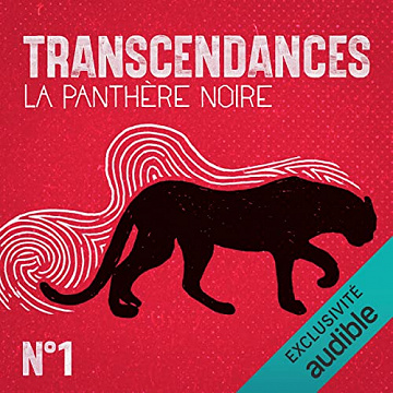 TRANSCENDANCES VOL 1 La Panthère noire Rituels d'Ayahuasca au Pérou (2022)