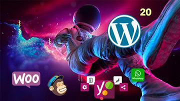 Udemy - Le Guide Complet Des 30 Meilleurs Plugins Wordpress