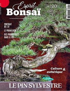 Esprit Bonsai - Octobre-Novembre 2022