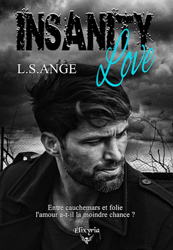 Insanity love - L.S. Ange (2022)