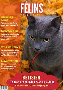 Félins Pour L’autre - Octobre 2022