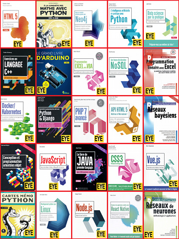 Collection Programmation Informatique (EYE)