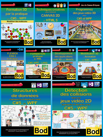 Collection Programmation Informatique (Bod)
