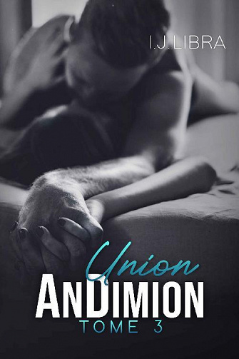 AnDimion, Tome 3 : Union - I.J. Libra (2022)
