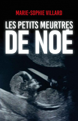 Les petits meurtres de Noé - Marie-Sophie Villard (2022)