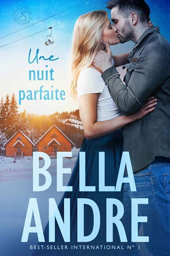 Une nuit parfaite (La Famille Sullivan, tome 0.5) - Bella Andre (2022)