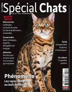 Spécial Chats - Janvier-Mars 2023