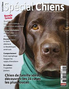 Spécial Chiens - Janvier-Mars 2023
