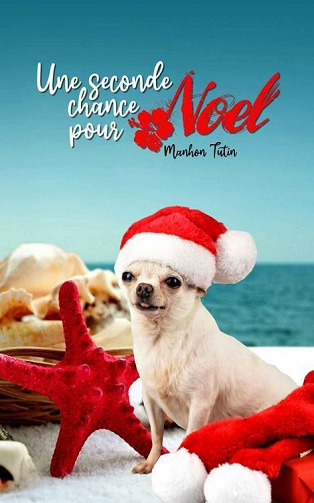Une seconde chance pour Noël - Manhon Tutin (2022)