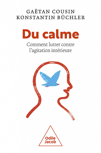 Du calme ! ou Comment lutter contre l'agitation intérieure - Gaëtan Cousin (2022)