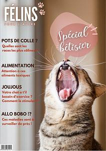 Félins Pour L’autre - Janvier 2023