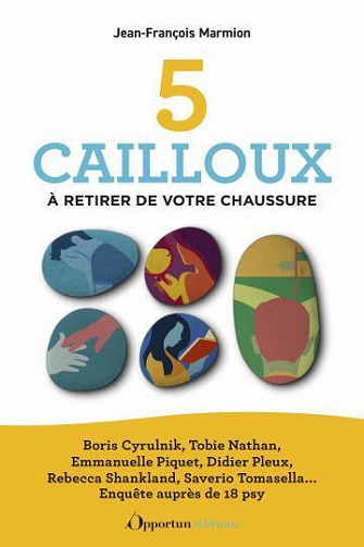 5 cailloux à retirer de votre chaussure - Jean-François Marmion (2023)