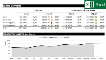 Udemy - Comment réaliser un Reporting commercial avec Excel