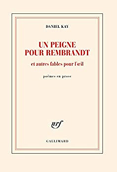 Un peigne pour Rembrandt et autres fables pour l’œil - Daniel Kay (2022)