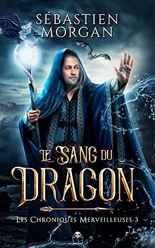 Le Sang du Dragon (Les chroniques merveilleuses t. 3) - Sébastien Morgan (2023)