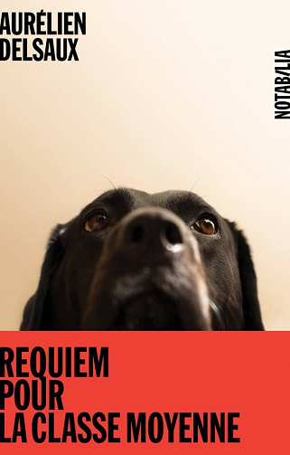 Requiem pour la classe moyenne - Aurélien Delsaux (2023)