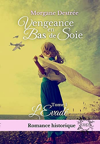 Vengeance en bas de soie: L'évadé - Morgane Destrée (2023)