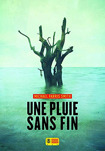 Une pluie sans fin - Michael Farris Smith (2015)