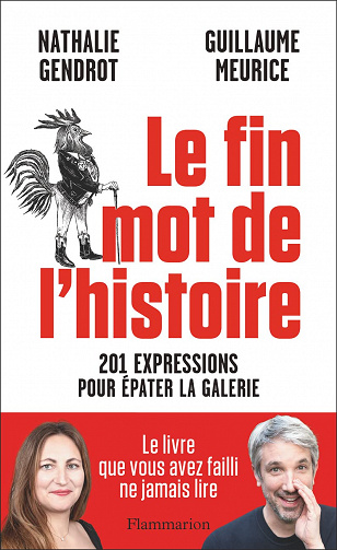 Le fin mot de l'histoire: 201 expressions pour épater la galerie - Nathalie Gendrot et Guillaume Meurice (2023)