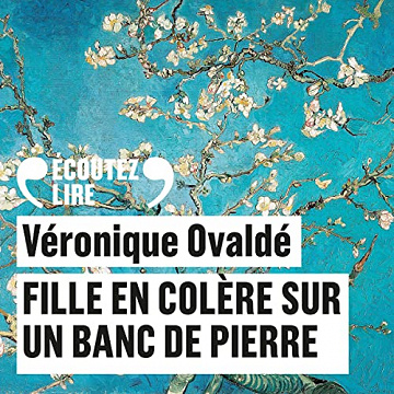 Fille en colère sur un banc de pierre - Véronique Ovaldé (2023)