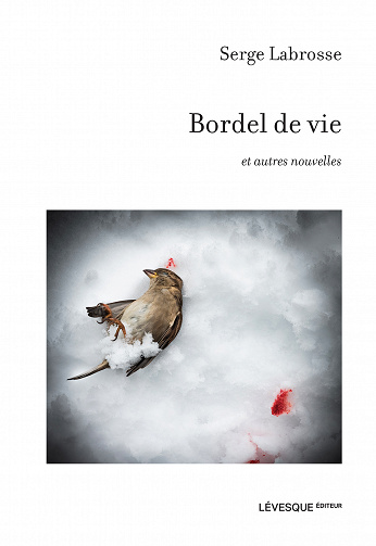 Bordel de vie : et autres nouvelles - Serge Labrosse (2023)