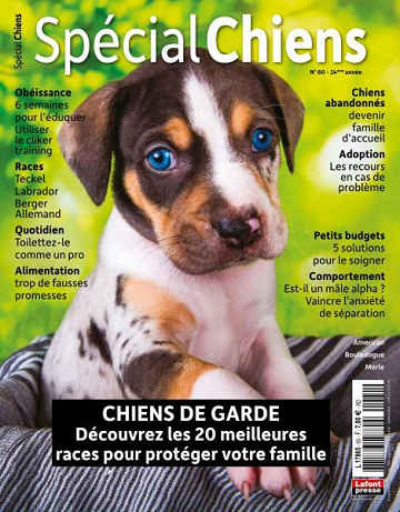 Spécial Chiens - Avril-Juin 2023