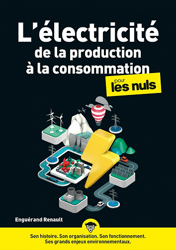 L'électricité de la production à la consommation pour les nuls - Enguerand Renault (2023)