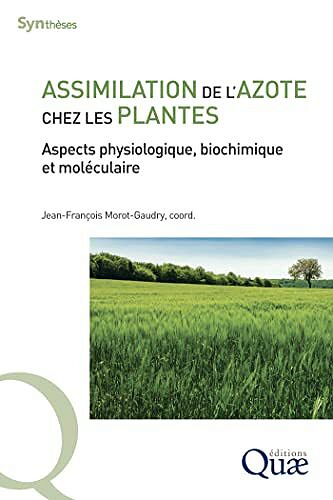Assimilation de l'azote chez les plantes: Aspects physiologique, biochimique et moléculaire -  Jean-François Morot-Gaudry (2022)