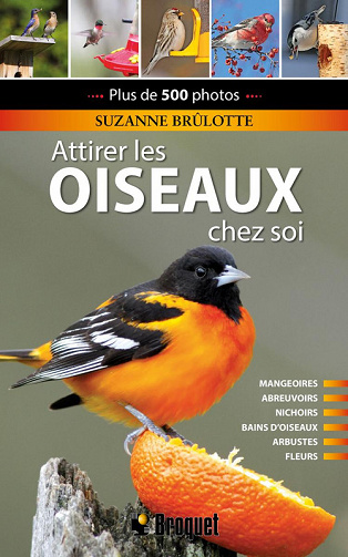 Le grand livre pour attirer les oiseaux chez soi, Nouvelle Edition - Suzanne Brûlotte